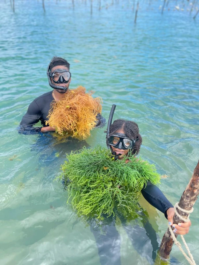 Snorkeling excursion during a Saint Lucia island tour